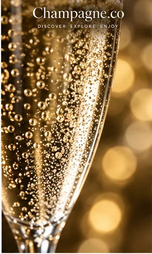 Champagne.co editorial illustration for Louis Roederer Collection 243