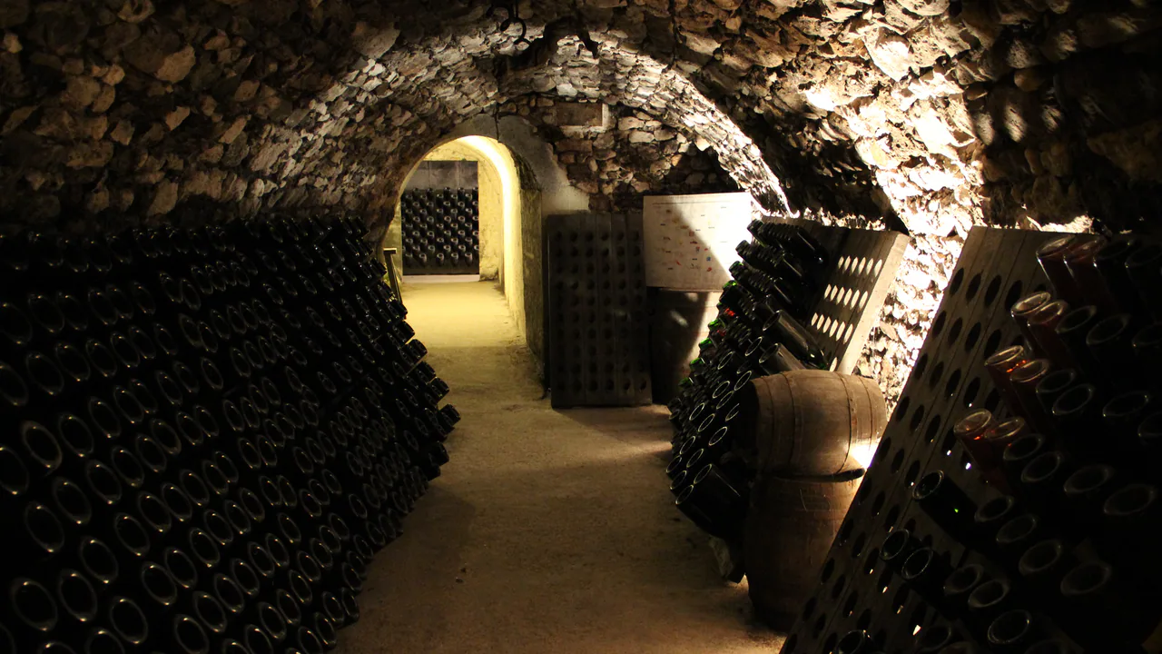 Bonnet-Ponson — Champagne producer profile image.