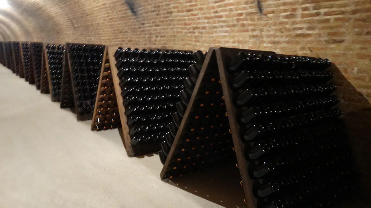 Cattier — Champagne producer profile image.