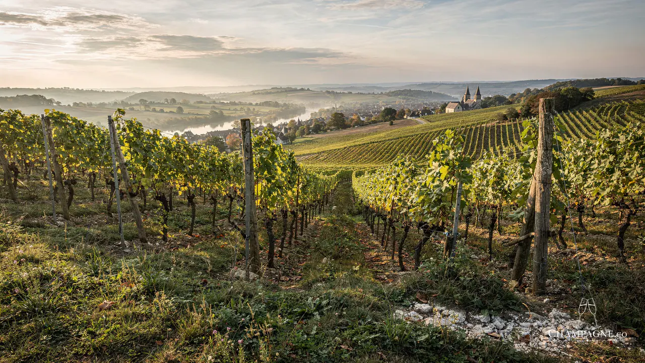 de Méric — Champagne producer profile image.