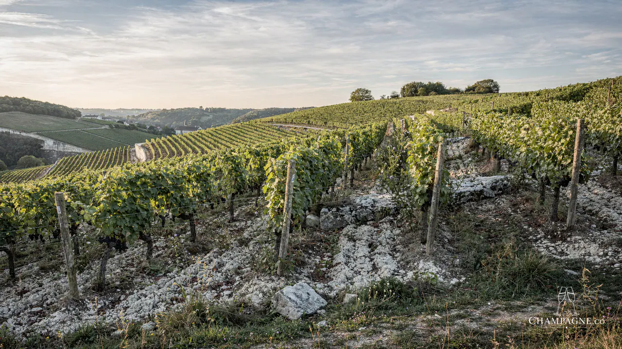 François Secondé — Champagne producer profile image.