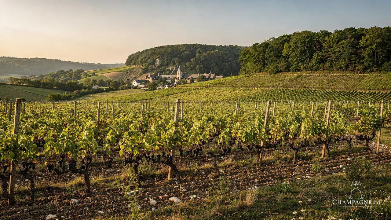 Gardet — Champagne producer profile image.