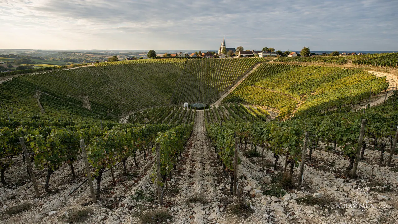 Jean Lallement — Champagne producer profile image.
