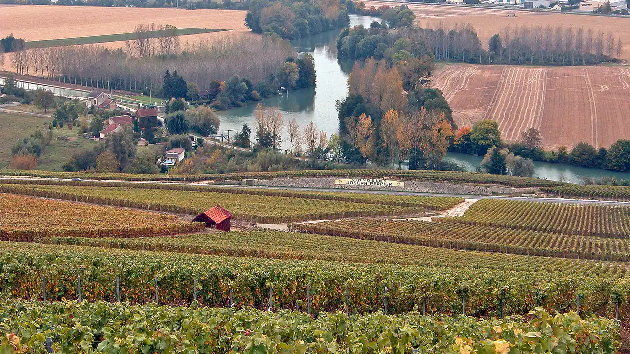 Joseph Perrier — Champagne producer profile image.
