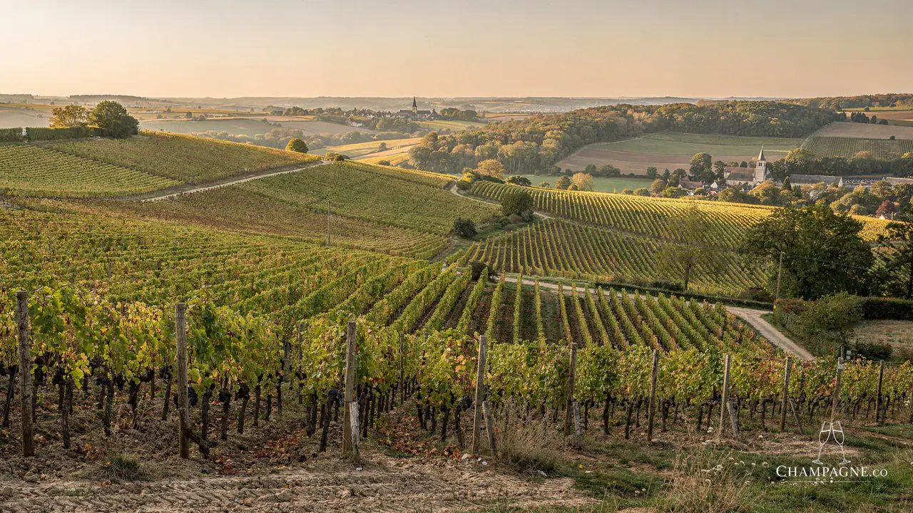 L. Aubry Fils — Champagne producer profile image.