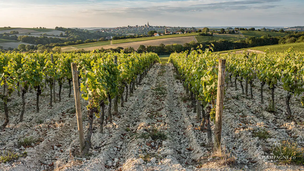 Leclaire-Gaspard — Champagne producer profile image.