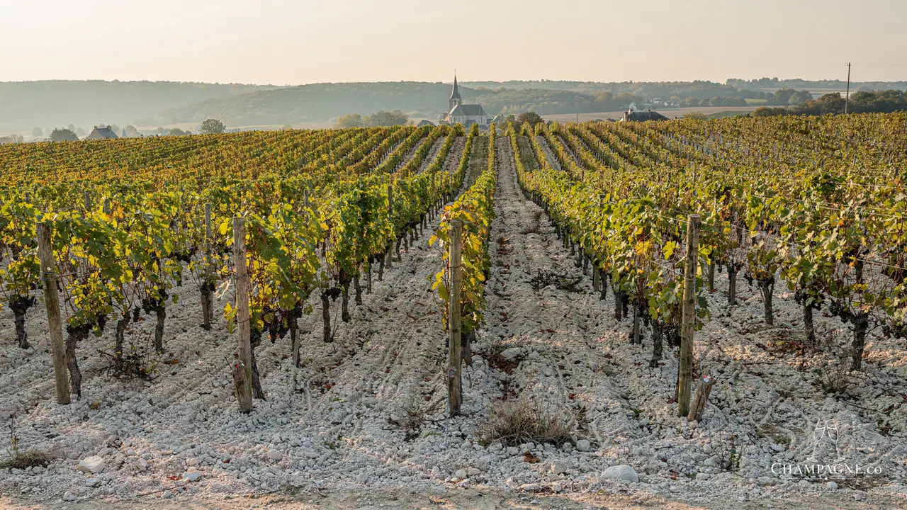 Leclaire-Thiefaine — Champagne producer profile image.