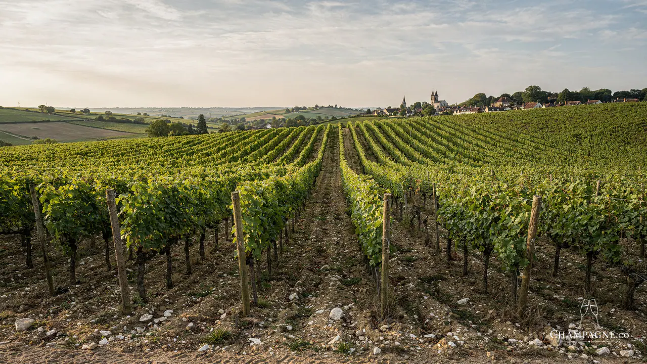 Lilbert-Fils — Champagne producer profile image.