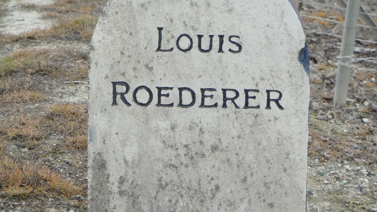 Louis Roederer — Champagne producer profile image.