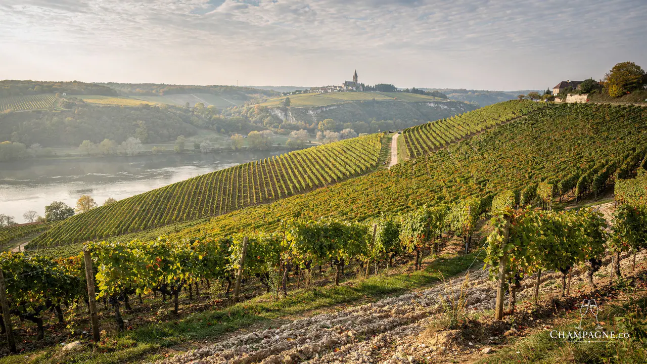 Marc Hébrart — Champagne producer profile image.