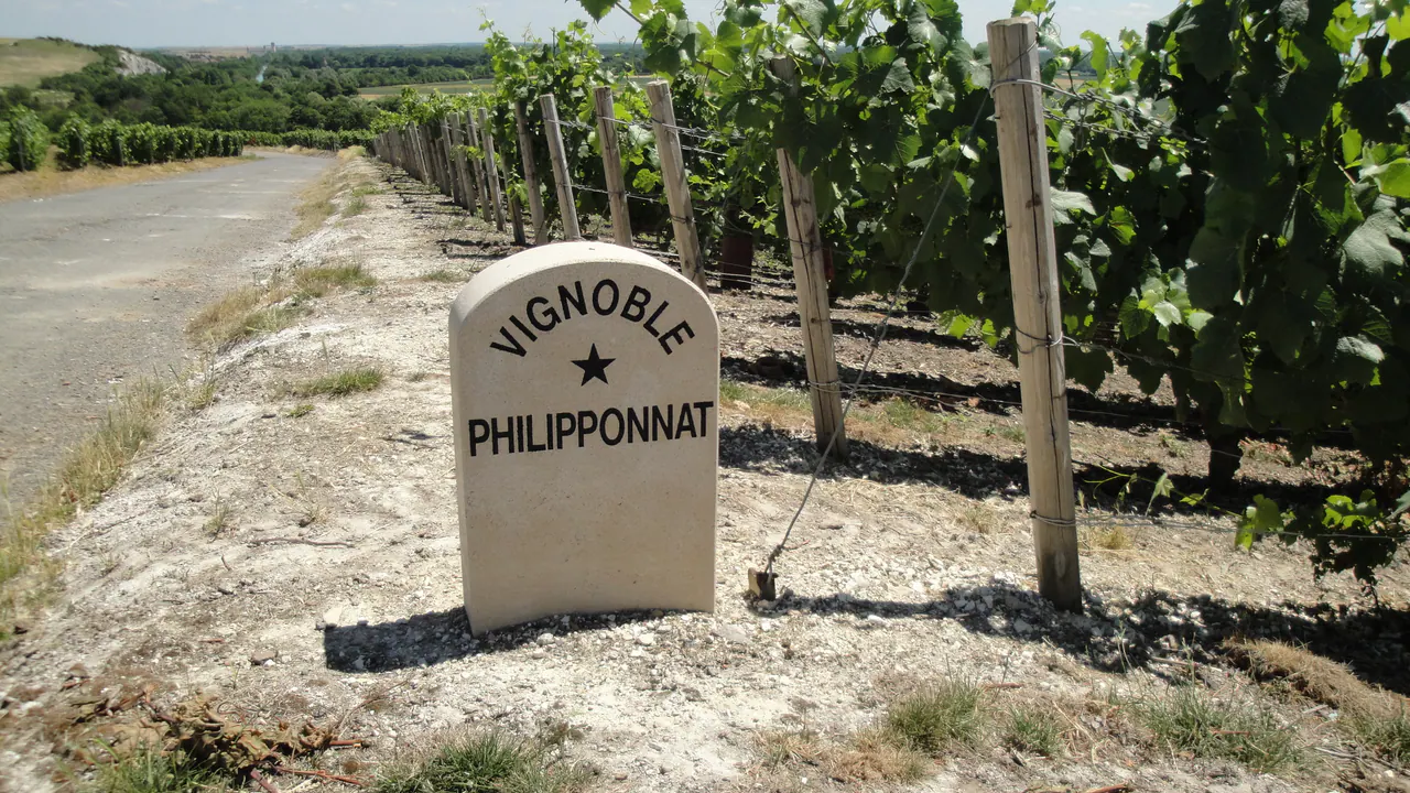 Philipponnat — Champagne producer profile image.