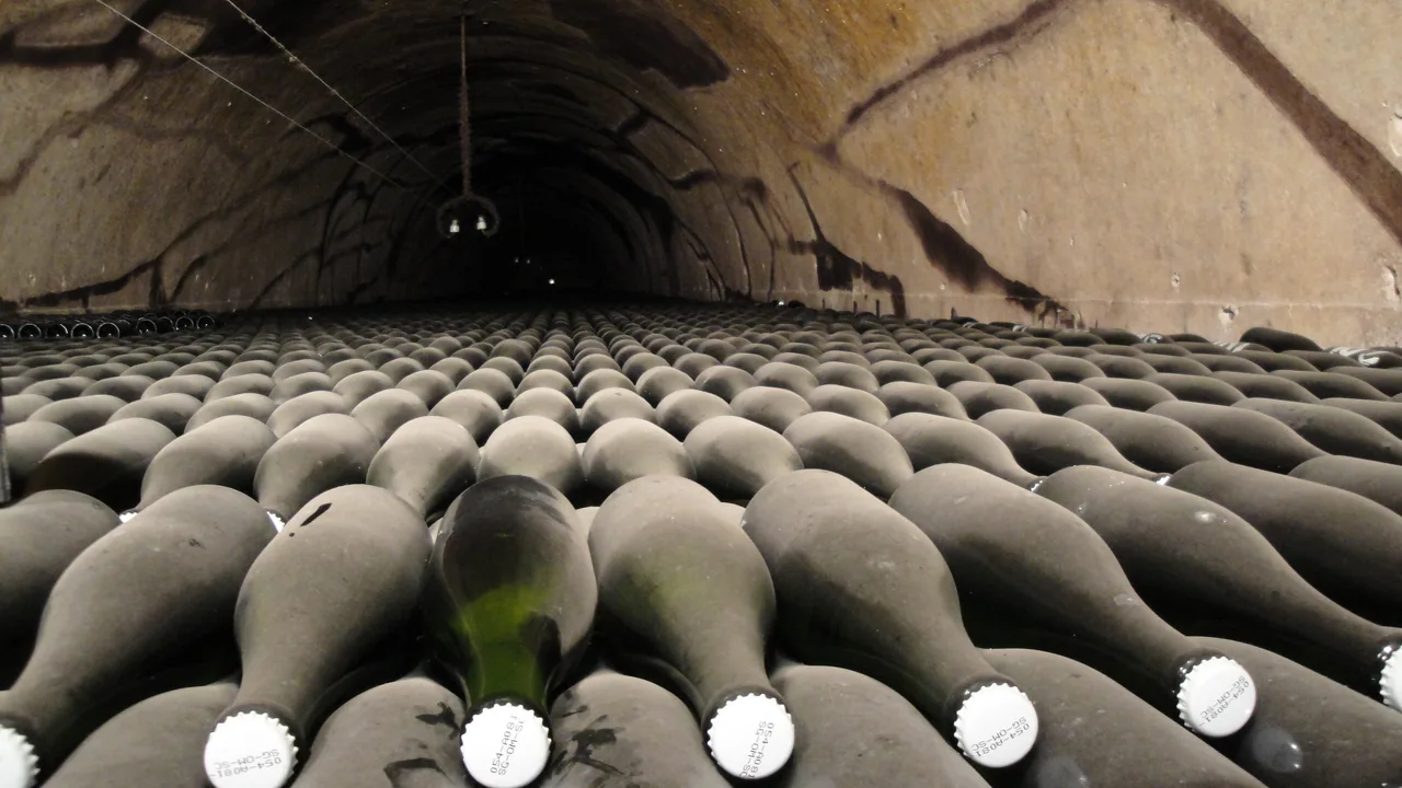 Pol Roger — Champagne producer profile image.