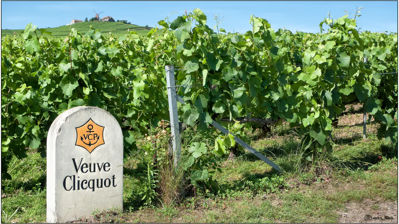 Veuve Clicquot — Champagne producer profile image.