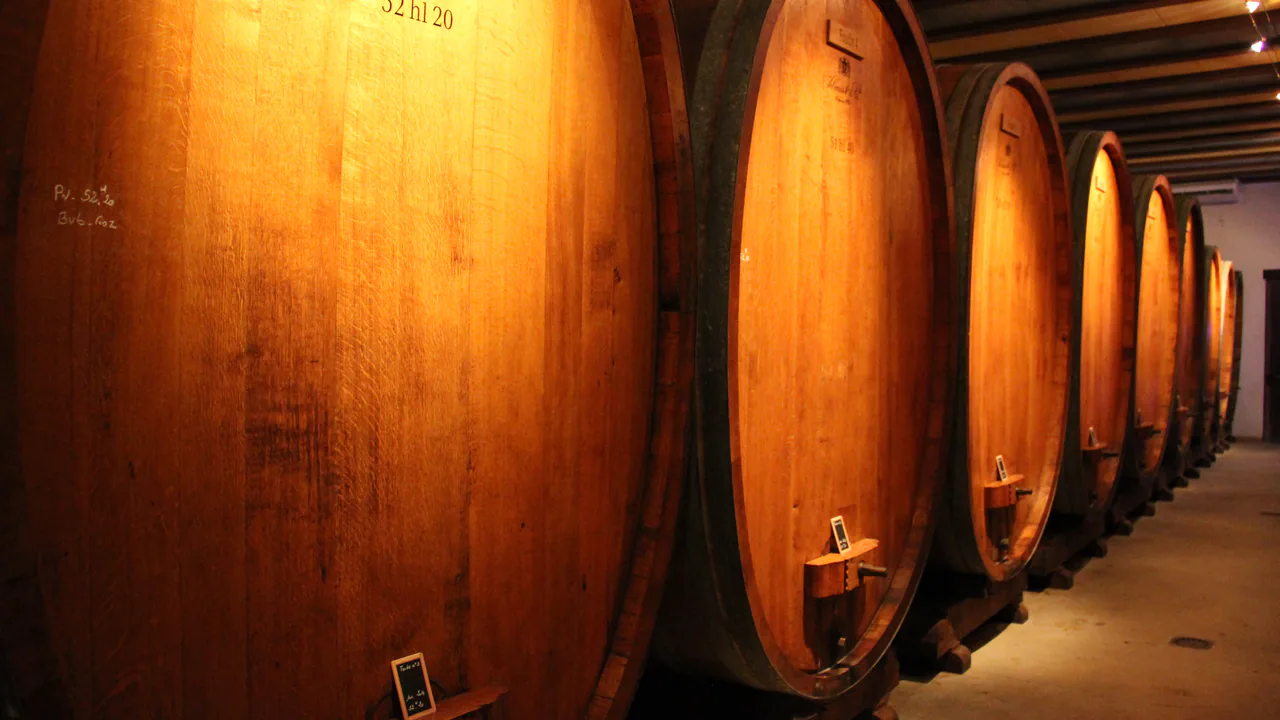 Vilmart & Cie — Champagne producer profile image.