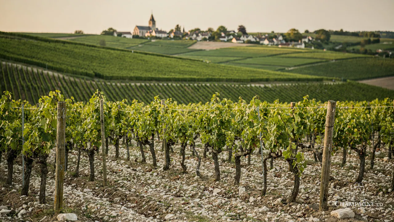 Voirin-Jumel — Champagne producer profile image.